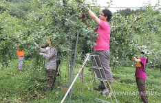 충북서 10개 대학 1천815명 농활 구슬땀