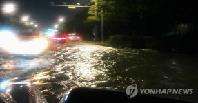 물바다된 대전 한밭대로