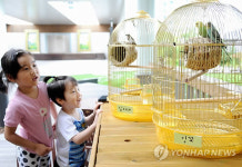 백화점 옥상에 동물농장
