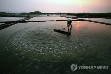 칠월 소금밭 풍경