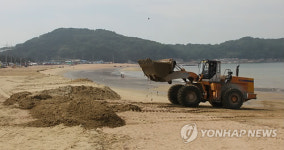 본격 휴가철 앞두고 백사장 준비 한창