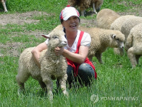 소금강 마을 양떼목장으로 놀러 오세요