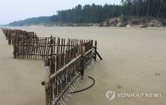 무너지는 서천 해안선