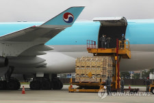 귀하신 몸 씨돼지, 김해공항 왔다