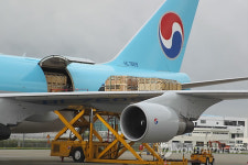 귀하신 몸 씨돼지, 김해공항 왔다