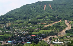 산사태 발생한 밀양 양지마을 전경