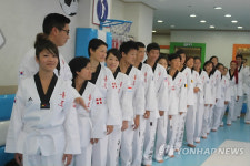 모국 방문 입양인, 태권도로 한마음