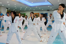 모국 방문 입양인, 태권도로 한마음