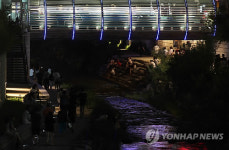 무더운 밤, 청계천 산책