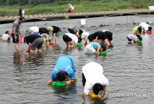 괴산 올갱이축제 29일 막올라