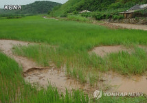 가옥·논밭 침수…북한 수해현장 모습
