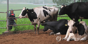 낙농농가 우유공급 중단