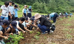 <카메라뉴스> 새둥지 닮은 단양 삼둥지권역 인기