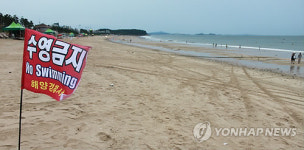 텅빈 대천해수욕장 백사장