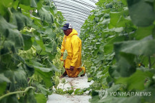 허탈한 농심