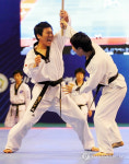 2011 세계태권도한마당
