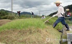 추석 앞두고 벌초 손길 분주