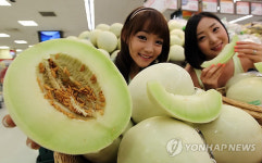 과일값 부담될땐 허니듀 메론!