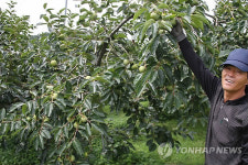 풍년에 미소짓는 농민