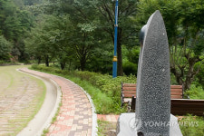<카메라뉴스> 보령 옥마산 등산로의 오석 조각품