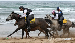 제주 해안 승마 퍼레이드
