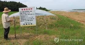 보령시 천북면 구제역 매몰지