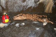 1천500년전 흔적 고스란히 품은 용천동굴