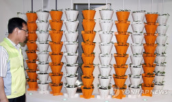 금산세계인삼엑스포 D-5‥손님맞이 준비 끝