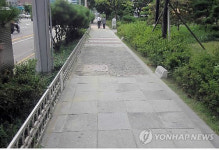 성동구 보도블록 족보관 설치