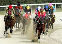 釜ㆍ慶경마공원, 미스터파크 꿈의 16연승 도전