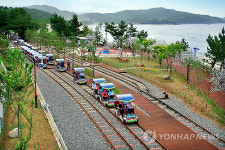 삼척 해양 레일바이크 인기 가속