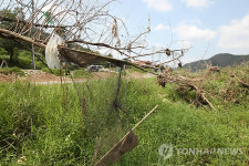 한달 넘게 방치된 흉물스런 북한강변