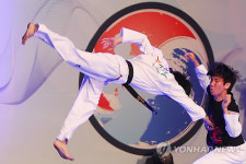 태권도의 힘