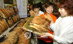 좋은 인삼은 바로 이런 것<농진청>
