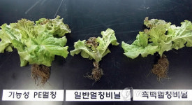 충주시 기능성 부직포 피복자재 개발