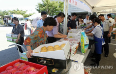 <카메라뉴스> 전북 농축산물 싸게 팔아요