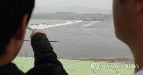 여기가 세종보