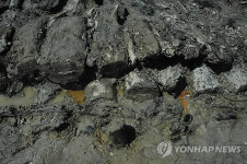 속살 드러낸 상주 공검지
