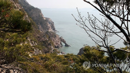 트레킹코스로 각광받는 서산 황금산