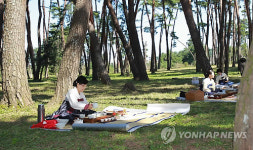 솔숲에서 가을을 마시다