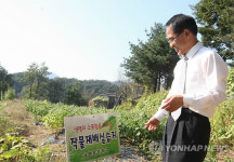 춘천 금병초교 생명의 소중함을 가르쳐요