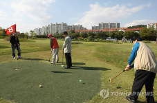  포항 그라운드 골프장 인기