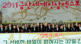 금산수삼센터84호 | 2011 금산세계인삼엑스포 성과와 과제