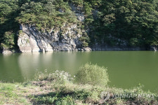 국보 반구대 암각화 대곡천에 녹조