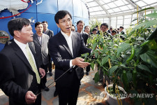 청양 고추마을 찾은 안희정 지사