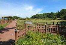 '삼릉가는 길'