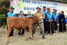 우리가 키울 송아지 튼튼하지