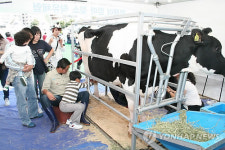 메가마트, 부산 도심서 목장체험 행사