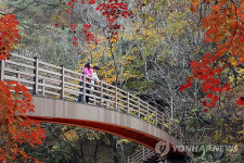 <카메라뉴스> 무주구천동 단풍으로 단장