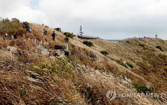 억새로 뒤덮인 충남 오서산